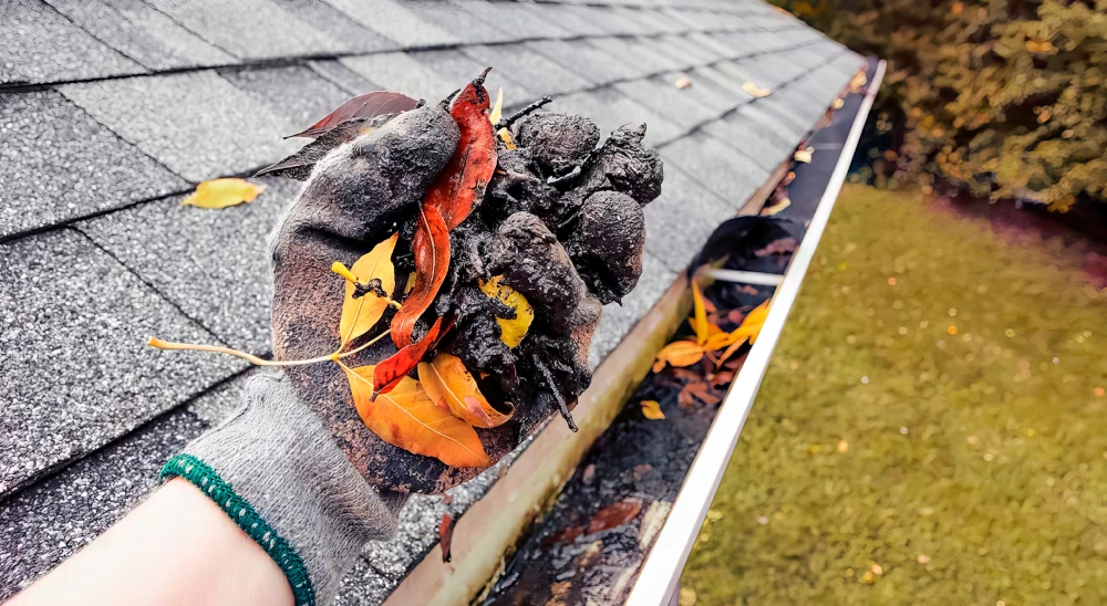 Gutters